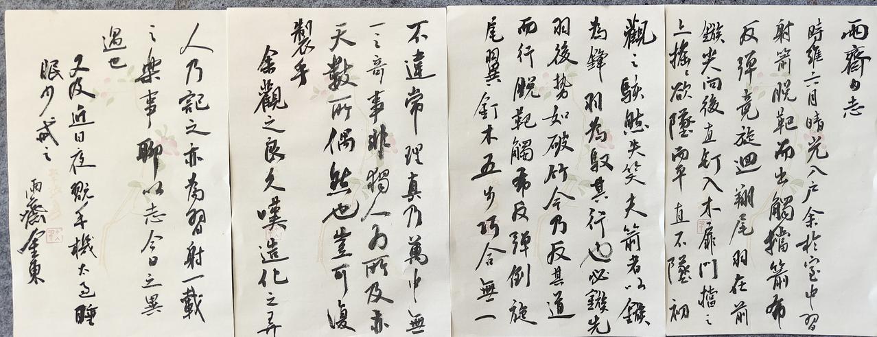 雨斋书法日志
时维六月，晴光入户。余于室中习射，箭脱靶而出，触挡箭布反弹，竟倒旋