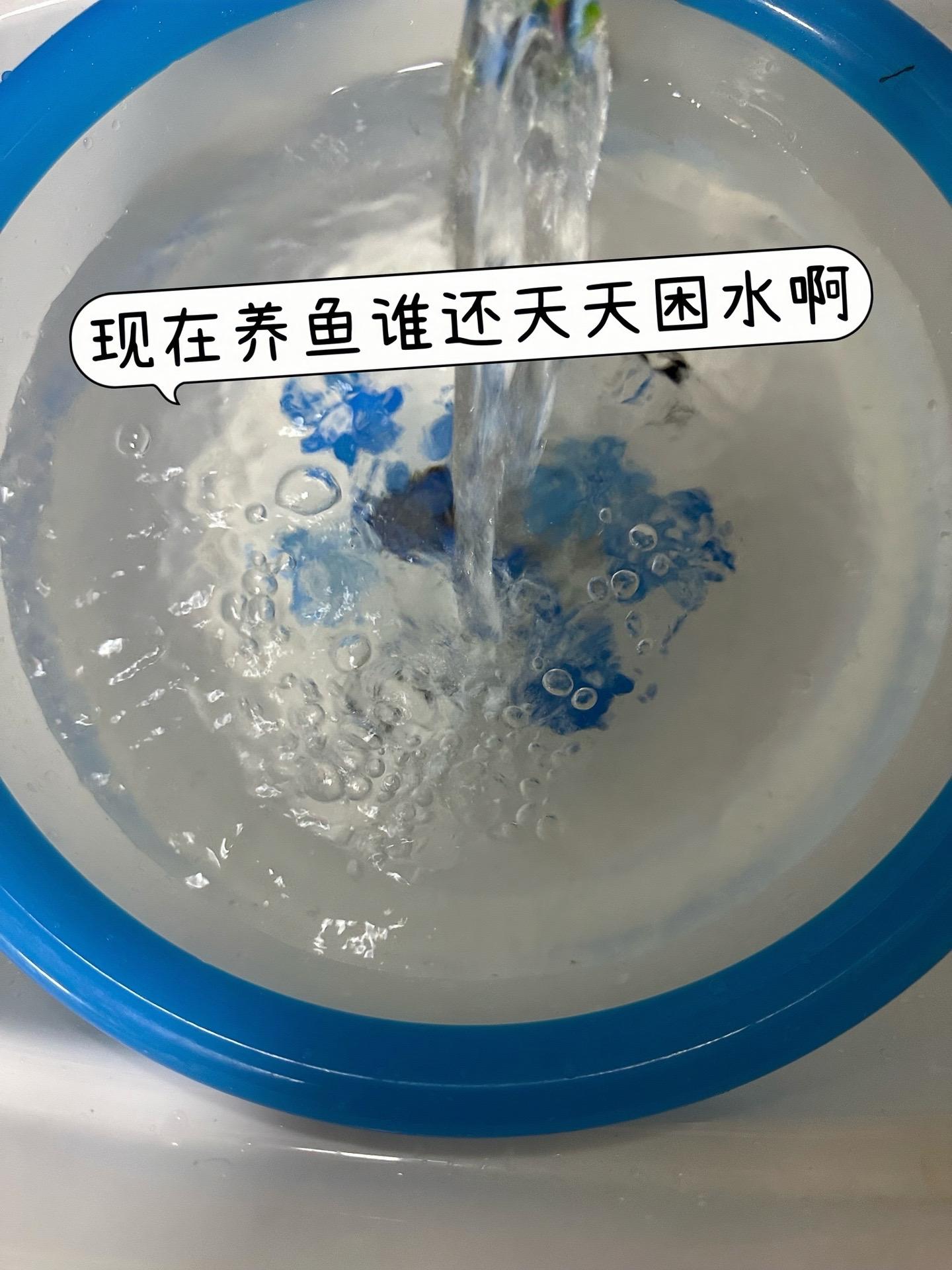 告别换水焦虑！鱼乐宝不仅能快速除氯，还自带水质净化功能，长效呵护鱼儿健...