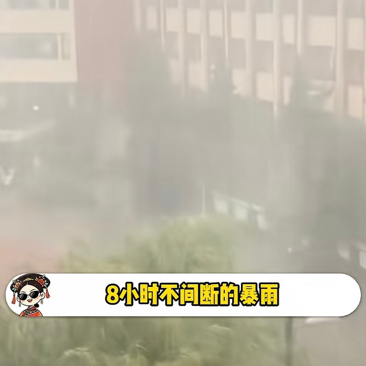 沈阳玫瑰音乐节取消不能因为沈阳人民幽默，就自动忽视沈阳暴雨，在娱乐面前还是人的生