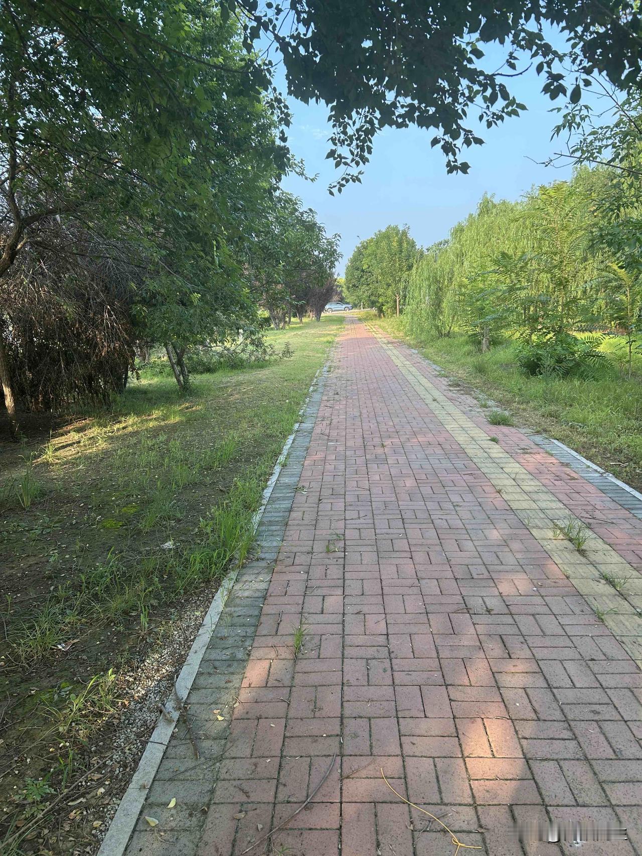 做生意开公司的男人就一定要有儿子吗？原配就应该像伺候皇帝一般迎合他们的要求？
