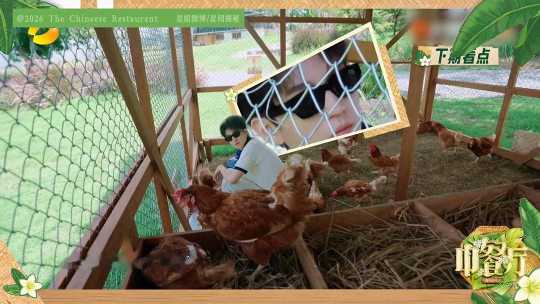 王俊凯问林大厨什么意思王俊凯你不要以为我没听到王俊凯调侃林大厨侵权在中餐厅后厨，
