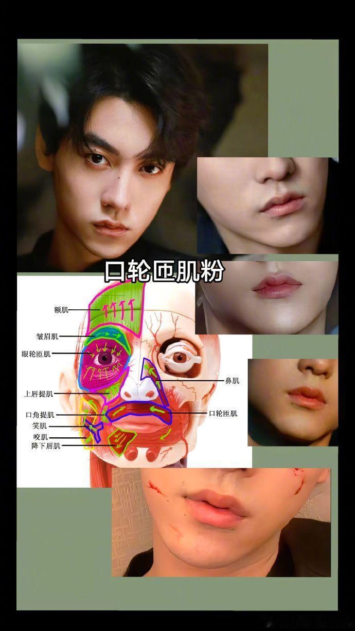 田栩宁的口轮匝肌 田栩宁逐帧美貌 田栩宁的口轮匝肌，谁懂田栩宁逐帧美貌啊，这个逐