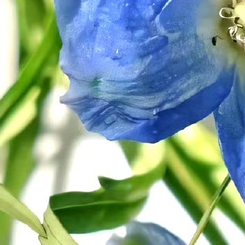 每日一善‎每日一善 ‎阳光‎信用 善良是一种美德，善良是一种远见，善良是一种自信