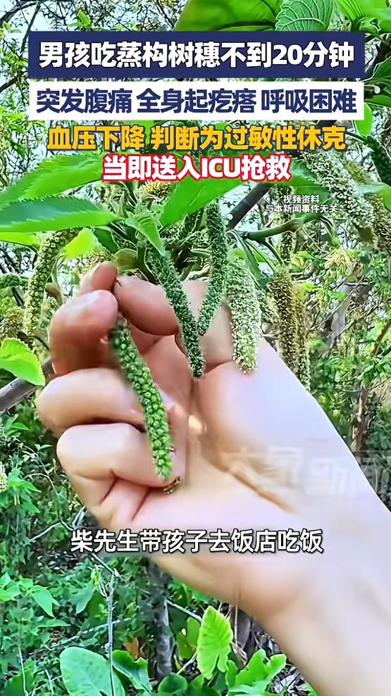“悲剧还是发生了！”3月28日，河南许昌，一男子带孩子去饭店时，点了一份蒸构树穗
