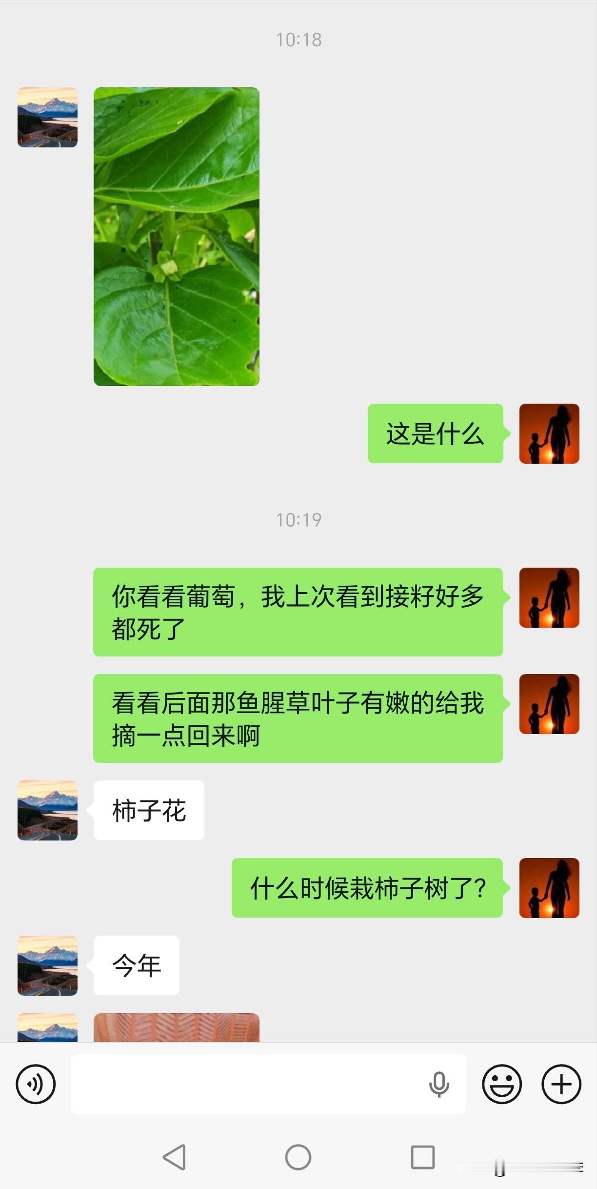 今天是婆婆77岁生日黑皮回去了，黑皮说他刚刚到家小姨就跟着也到了，大哥因为侄儿的