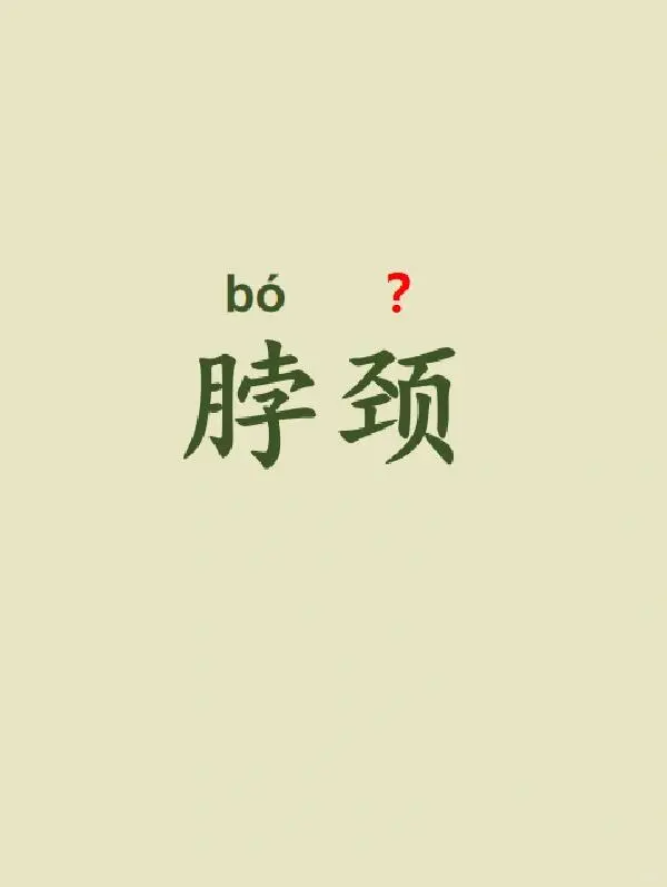 今天来学习——脖颈