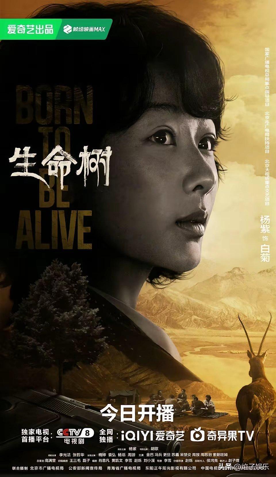 都说新剧看三天《生命树》热度基本算是横盘了，酷云收视率三天连降，今晚7-8集平均