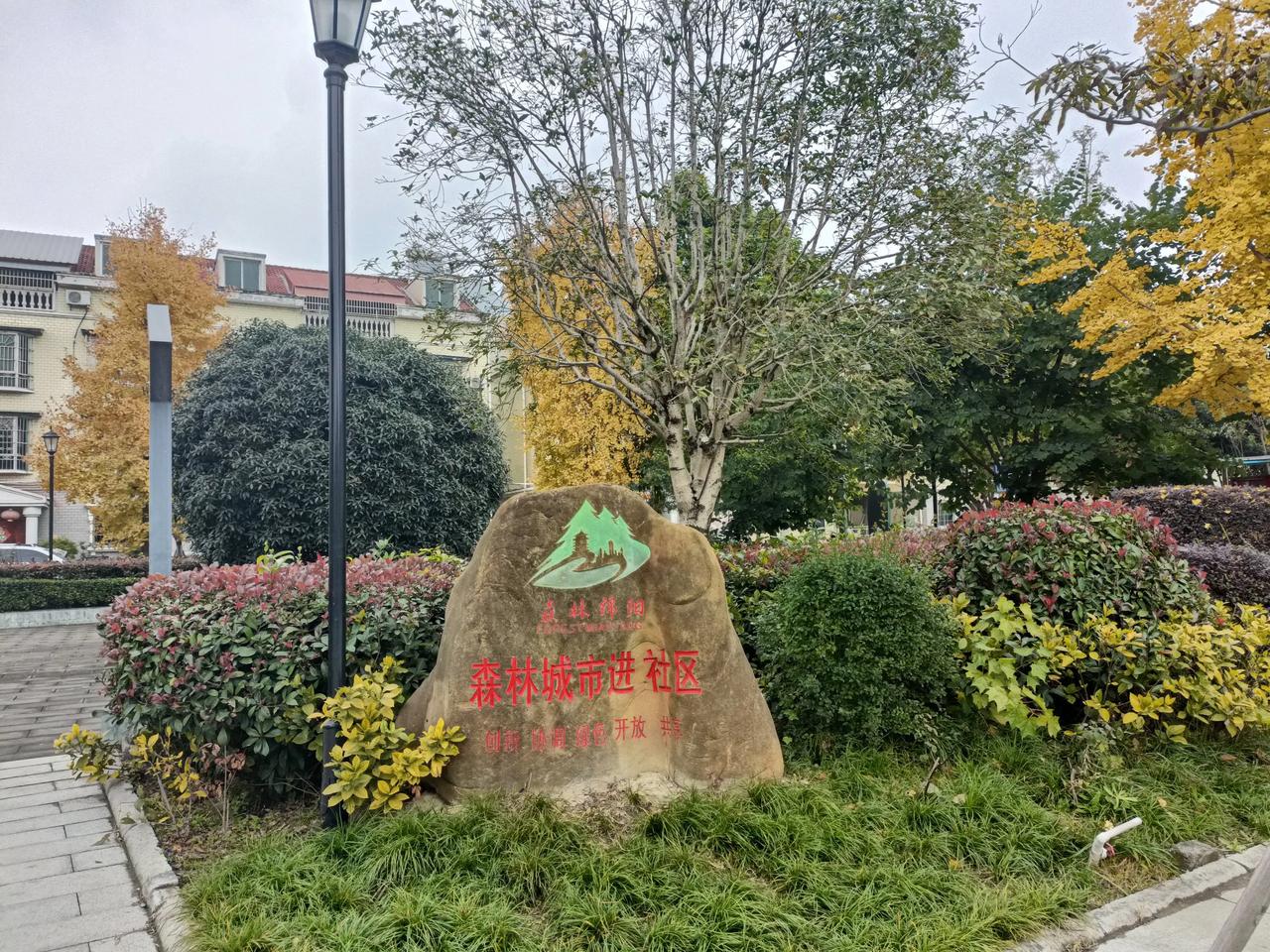 社区的花园太美了！涪江之滨，活观音社区，下楼入公园。绿树成荫，芳草萋萋，空气清新