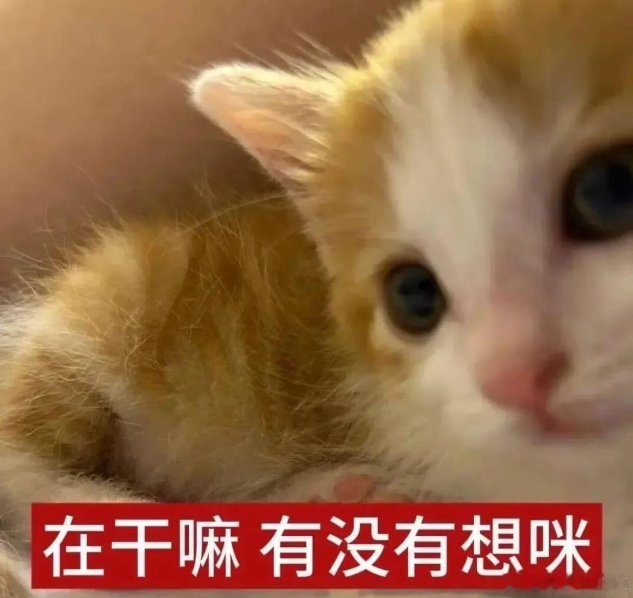 突然出现。 