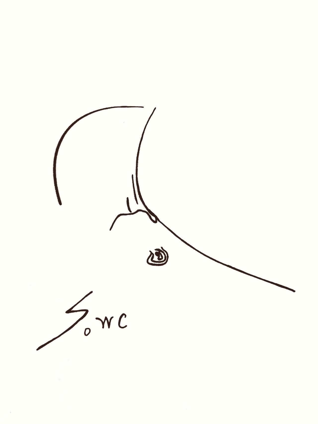 这是什么？
搞笑灵魂画手 简笔画