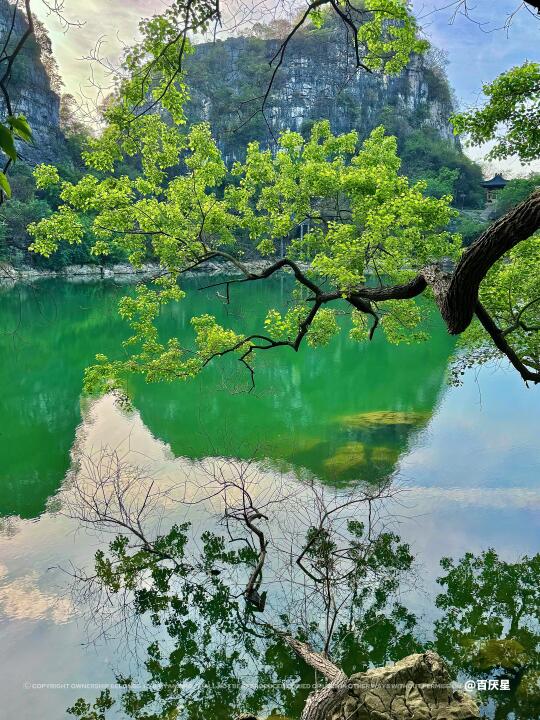 夏天来广西武宣怎么玩‼️请直接复制这条路线