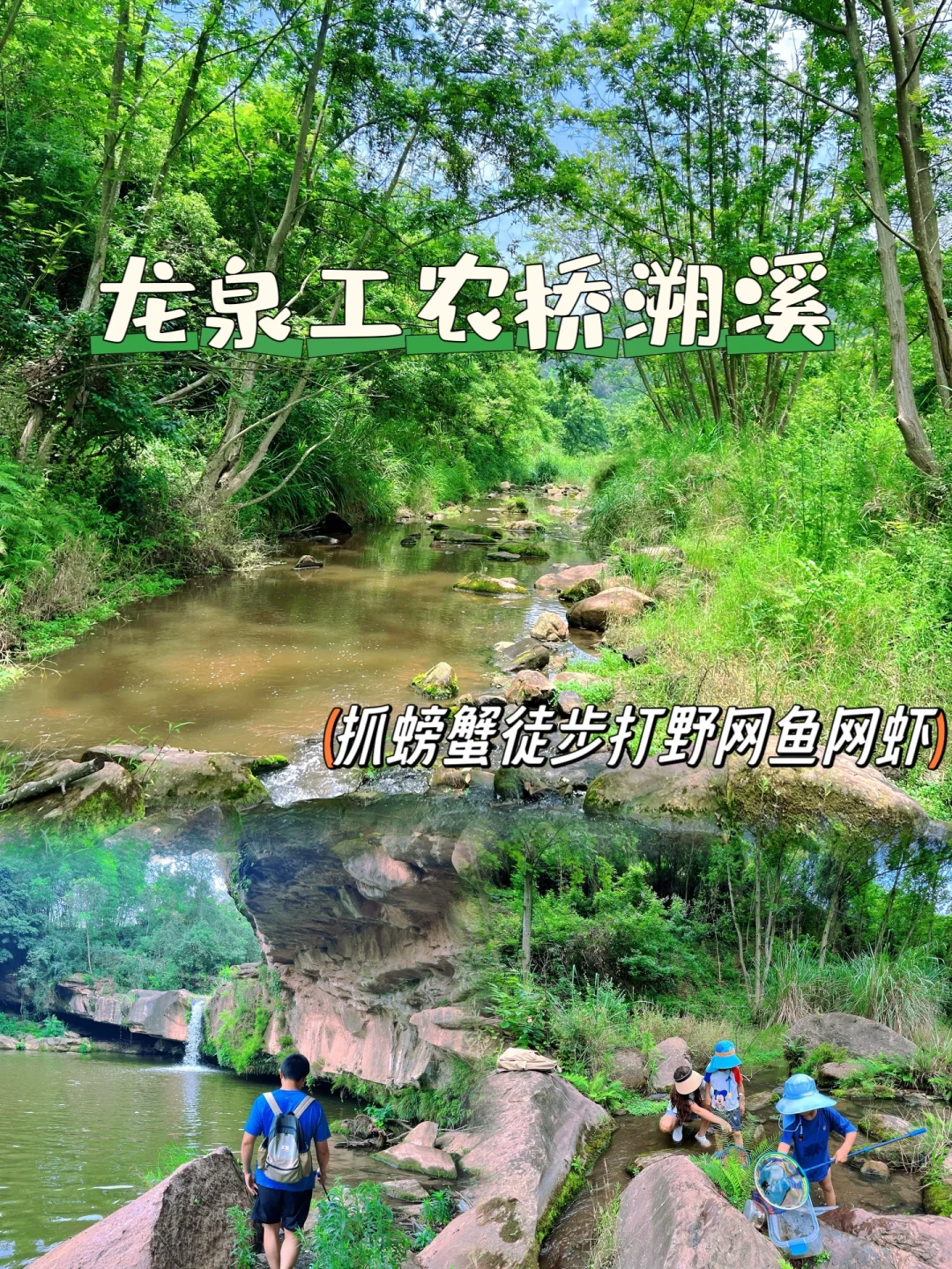 龙泉徒步溯溪打野成功‼️野地瓜螃蟹河虾鱼🐟
