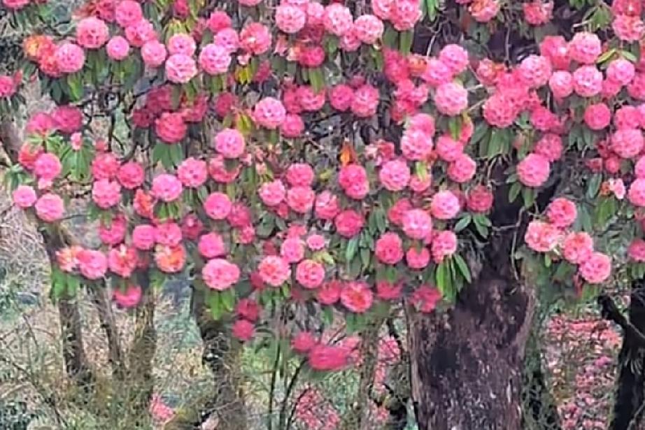 今天去相亲，没看上他，无非是少了点温柔罢了。
 
今天被家里人催着去相了亲，见面