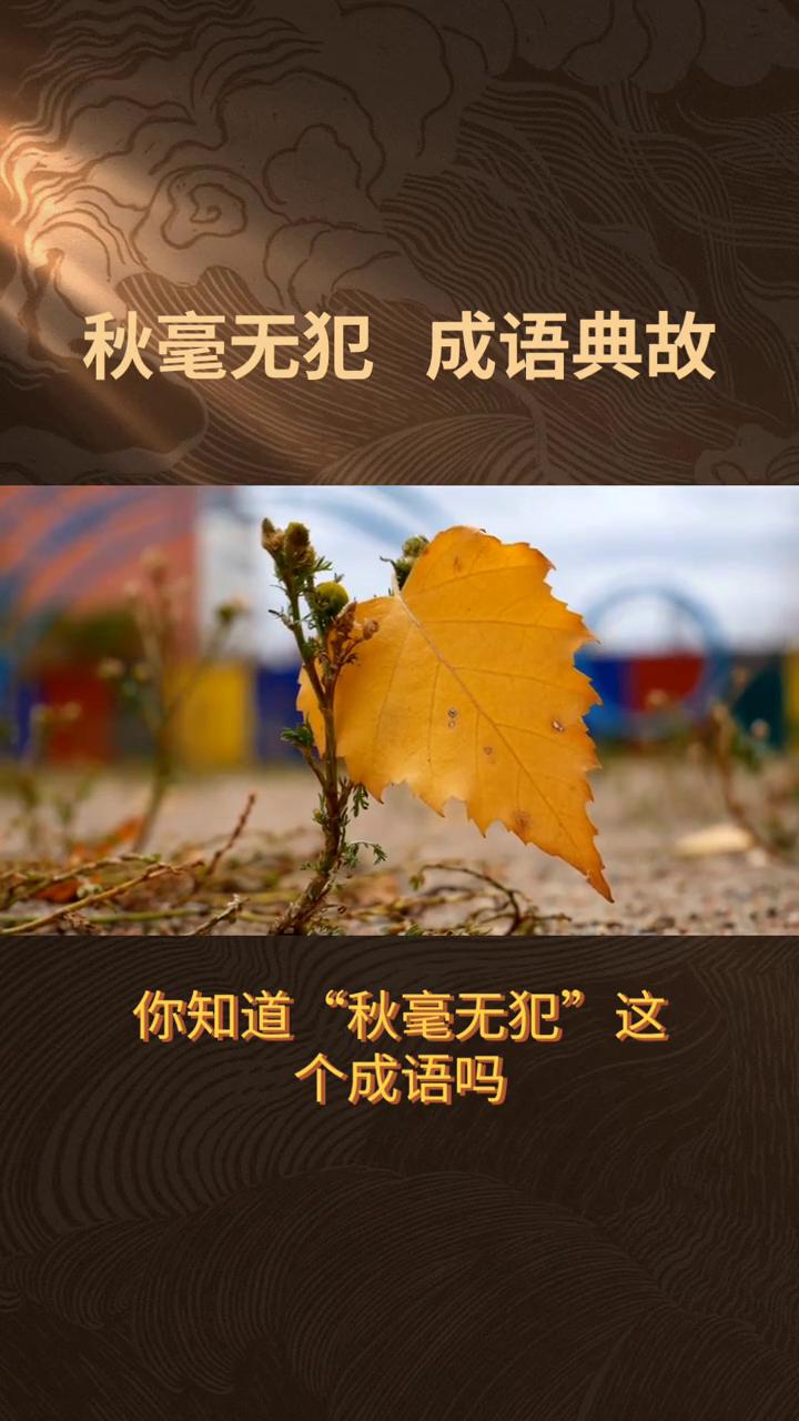 秋毫无犯成语典故。
你知道"秋毫无犯"这个成语吗？它可不是形容秋天没有一根毫毛那