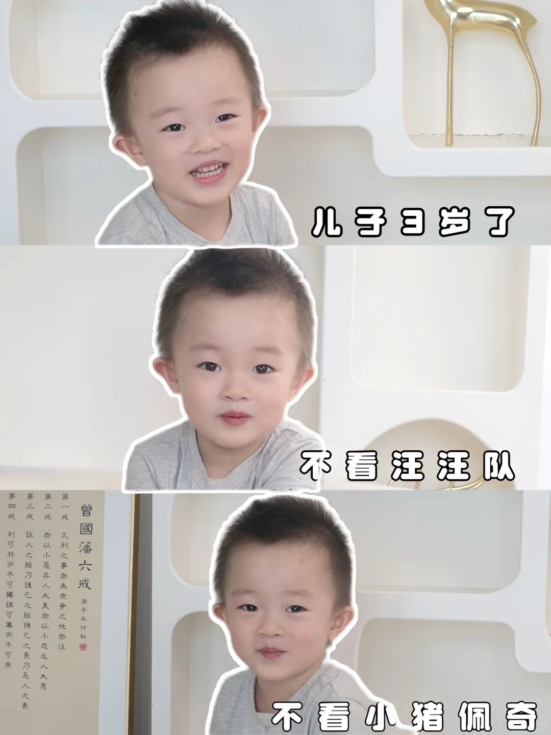 听央视没错!专为低幼儿童力荐的顶级纪录片