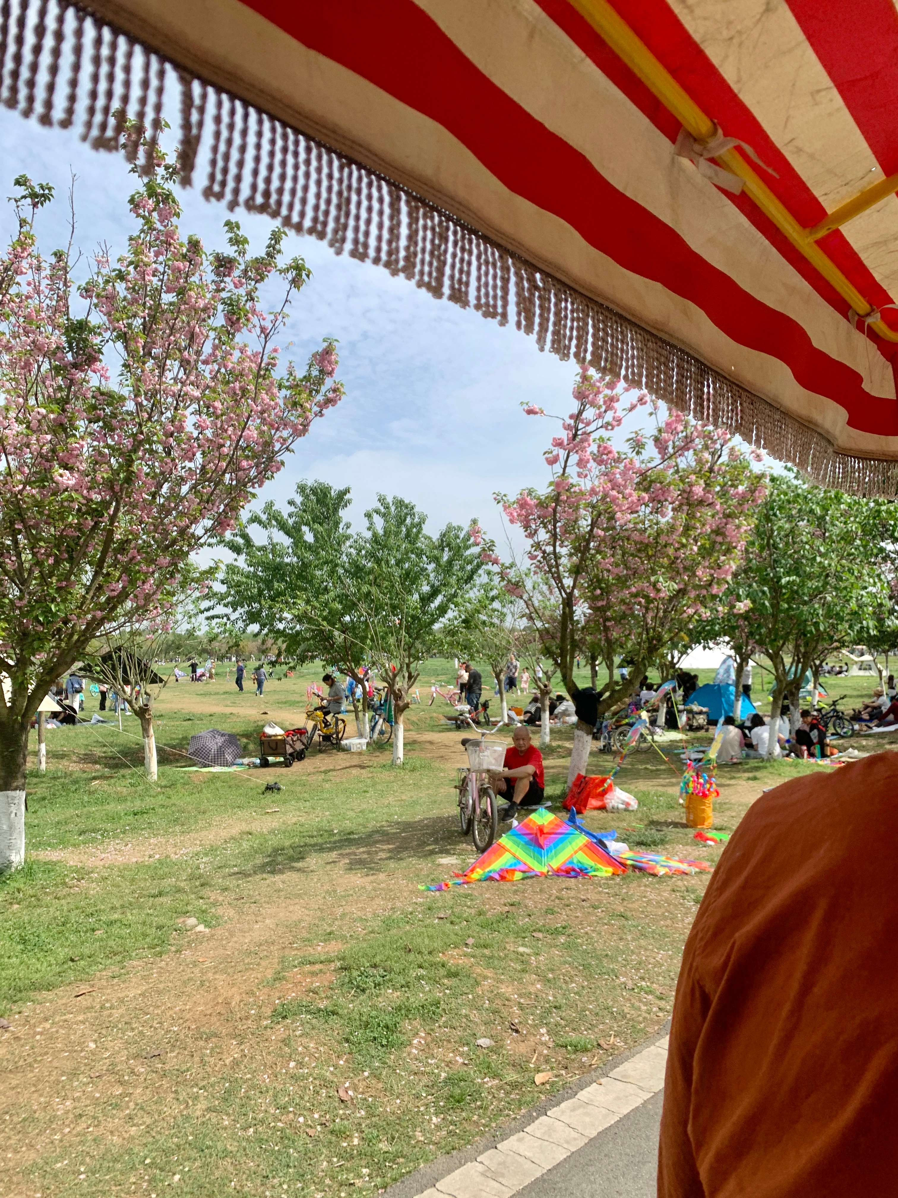 迎接四月的生命力 🍃大好春天 不出去晒太阳简直浪费天气！ ​​​