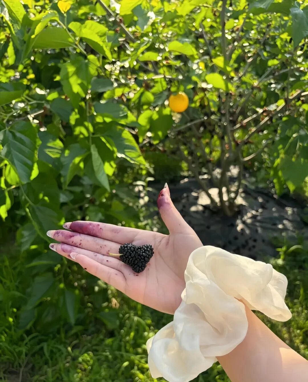 𝗣𝗹𝗼𝗴 :) 晒点可爱的朋友圈文案ᰔᩚ                