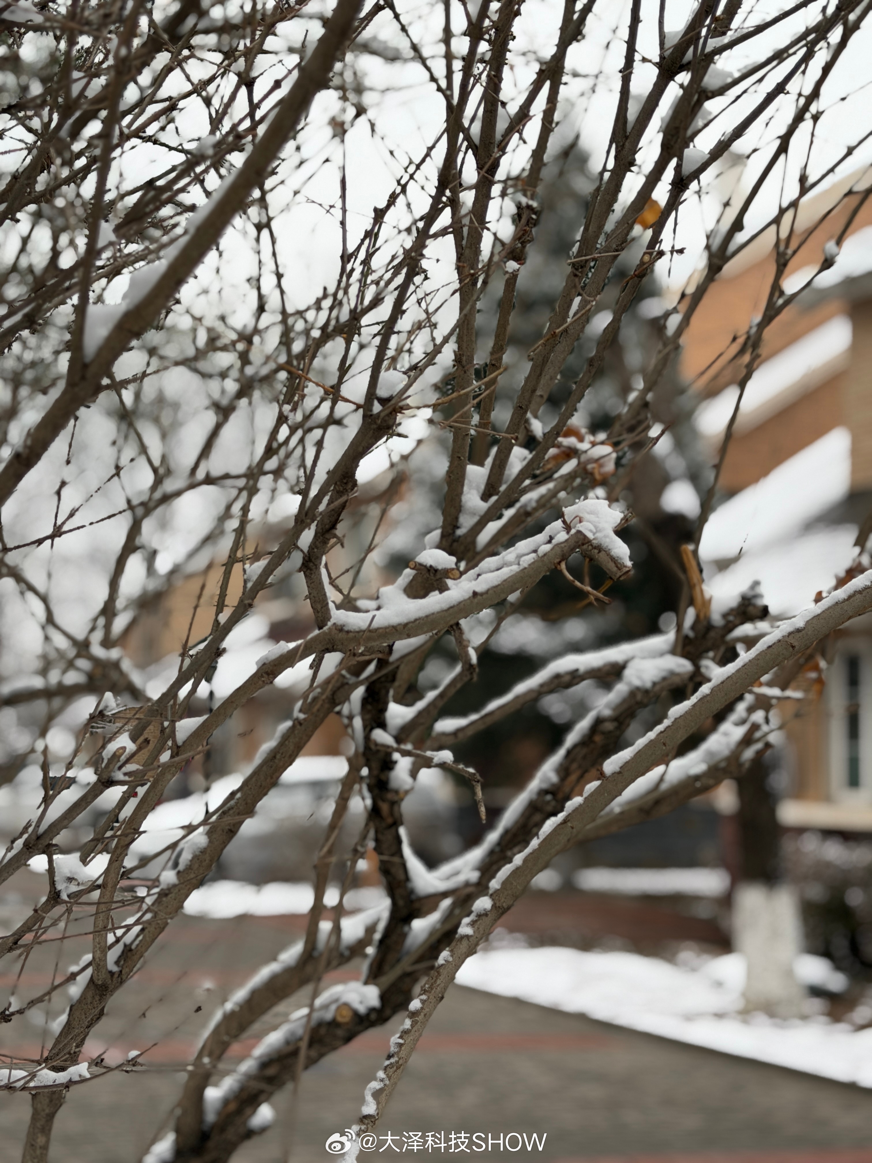 妇女节女同胞们节日快乐！我该送妈妈和媳妇儿点什么礼物呢？