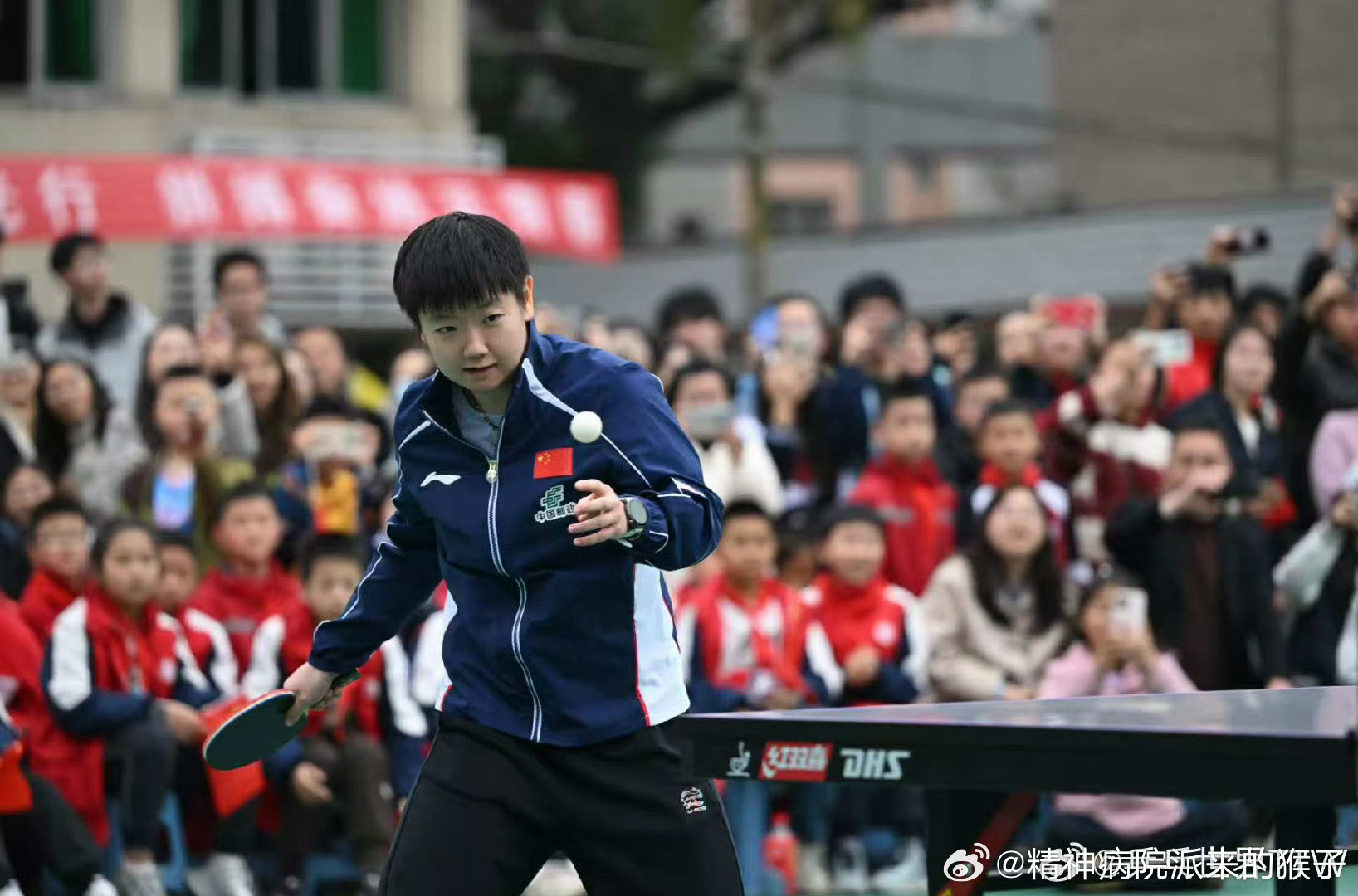 【乒乓世界】3月8日，国乒队员孙颖莎、王艺迪、石洵瑶、韩菲儿、王晓彤、朱梓宇、杨