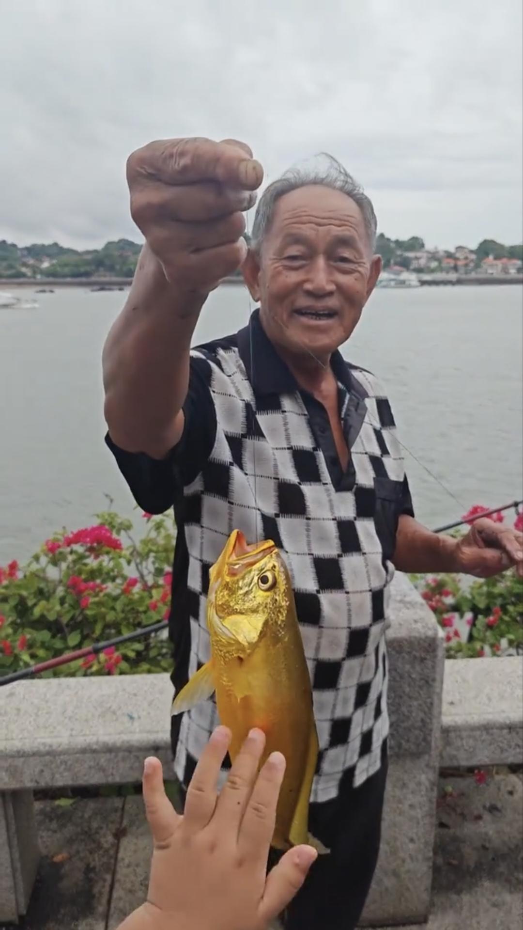 大家钓鱼，喜欢野钓还是欢乐塘大爷钓上来一条“黄金鱼”，全身金黄金黄的，引来了一群