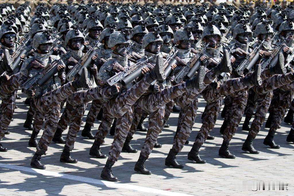 朝鲜参加俄乌战争之谜？美国防部长警告：是非常严重的升级！
一
打了近三年的俄乌战