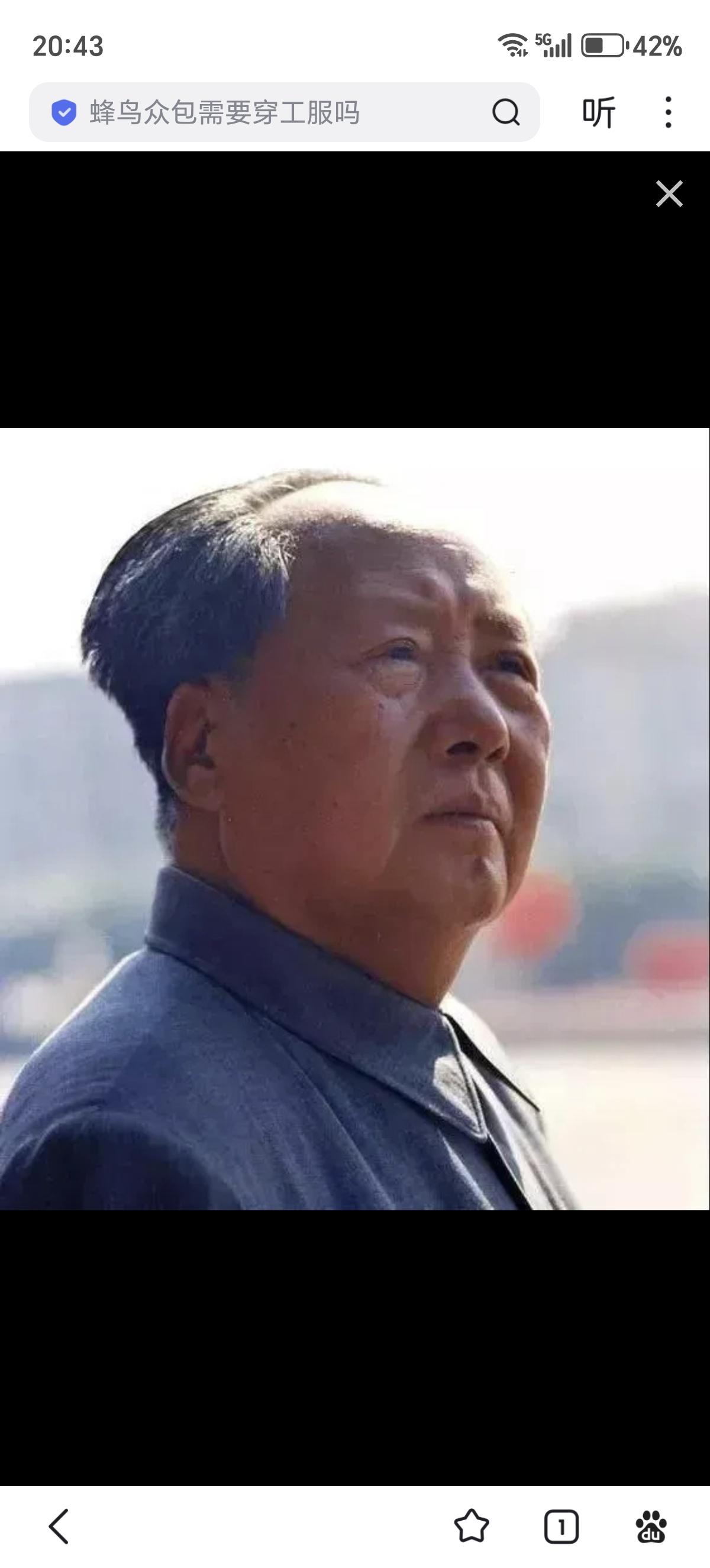 四十多年前，一些人在毛主席去世后，以自己极其肤浅的认知水平作为标准，放肆对毛主席