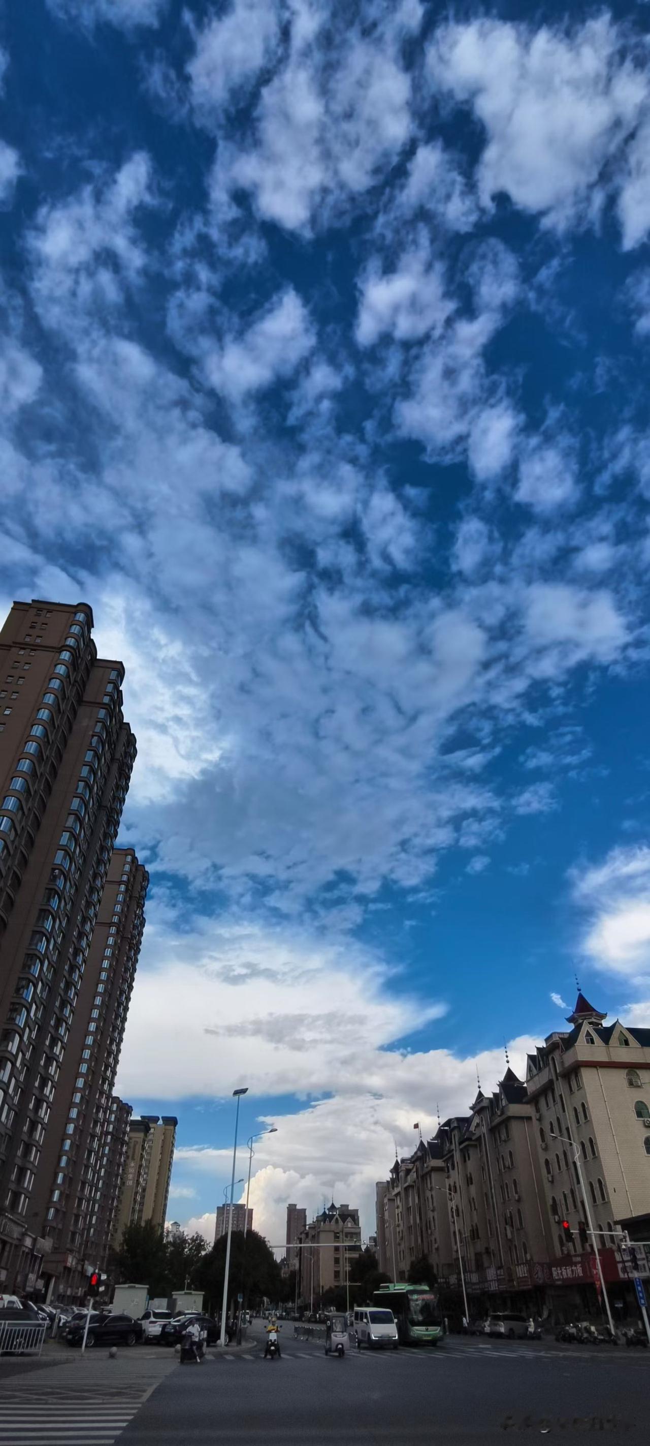 郑州天空随手拍:真蓝真白！随拍天空。 蓝天下的拍摄