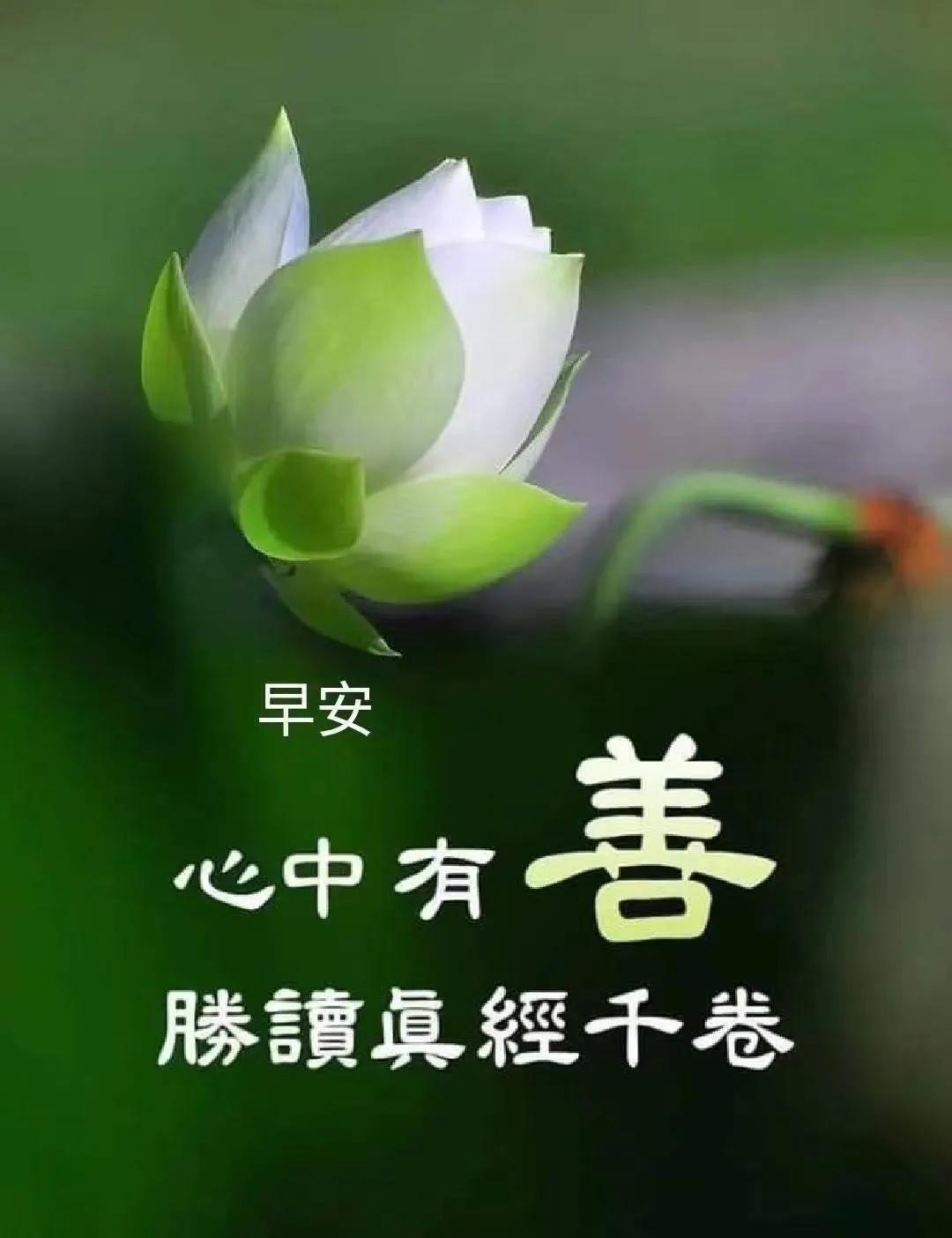 健康小常识：昨日立秋，“女子伤春，男子悲秋”！肝肺气机随季节升降失调。

女子以