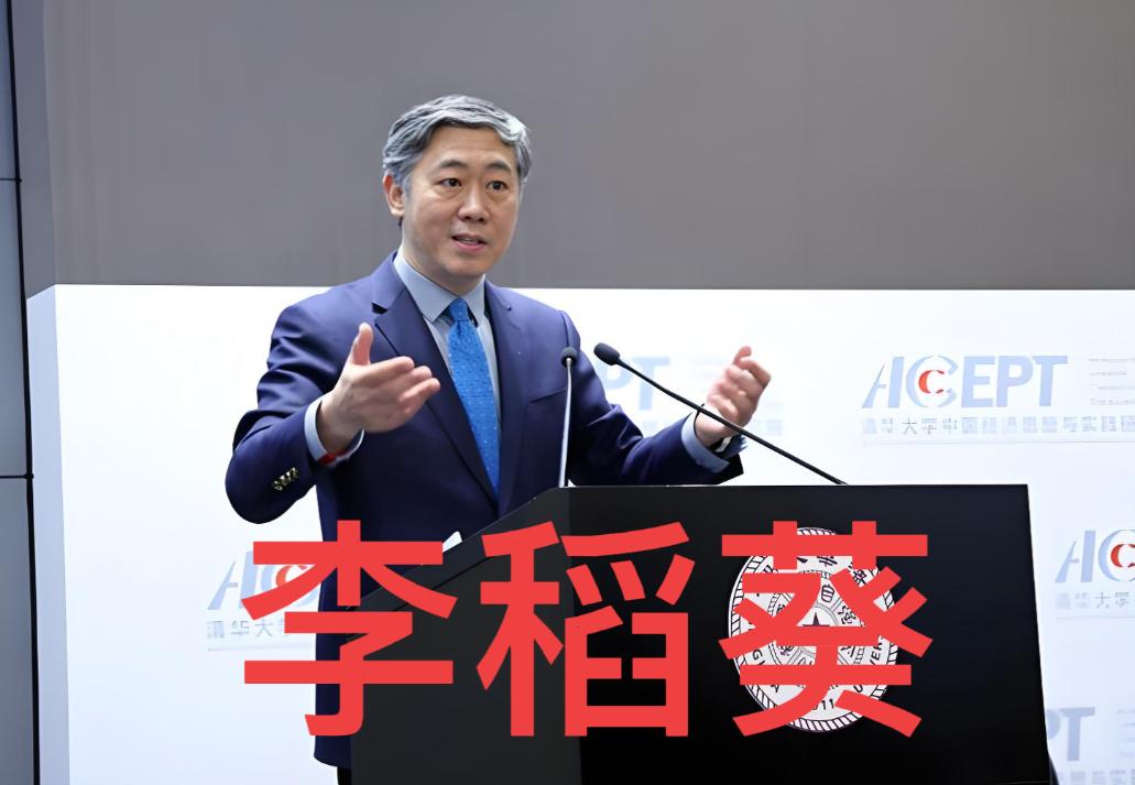 清华大学李稻葵：“不能因为钱一下子拿不出来，就让提高农民养老金从长计议，很多交了