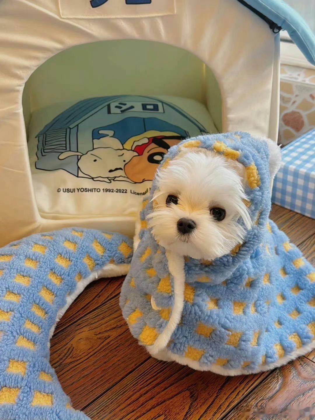 尝试自我pua  好喜欢上班好喜欢好喜欢[揣手][揣手][揣手] ​​​