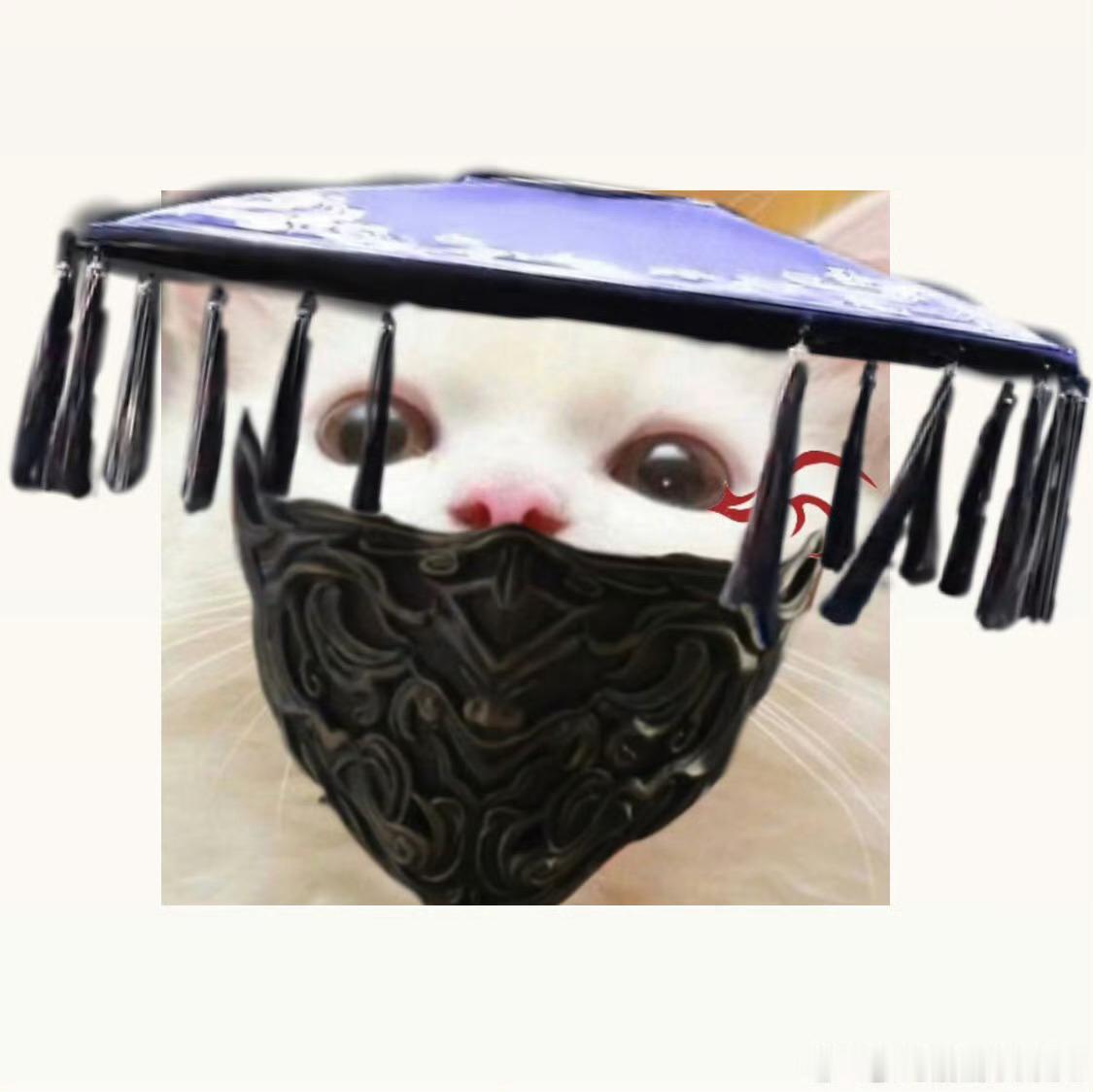 残江月夜游神娜娜见过南珩夫君