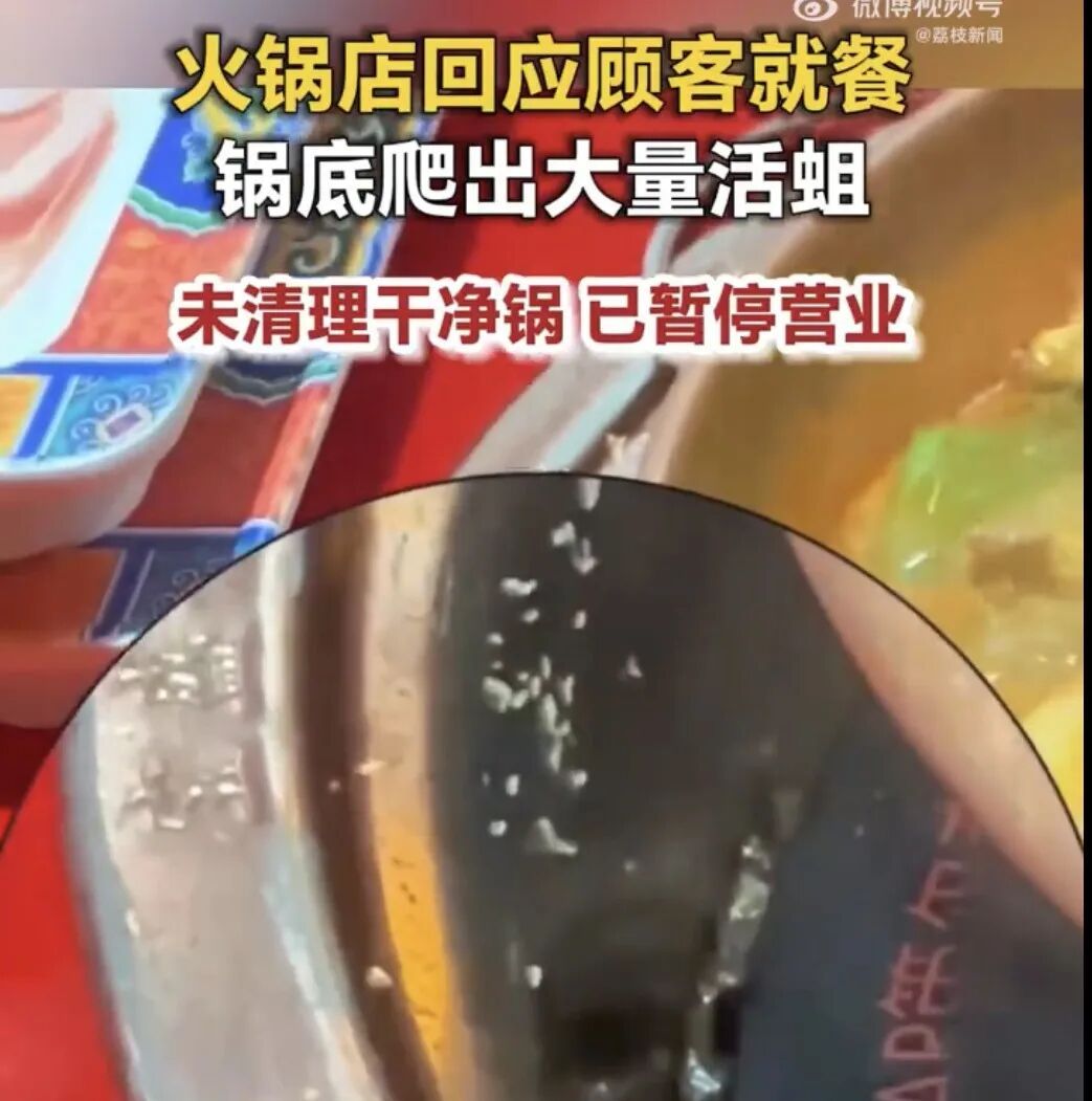 山东青岛一火锅店锅底爬出大量活蛆，当地通报