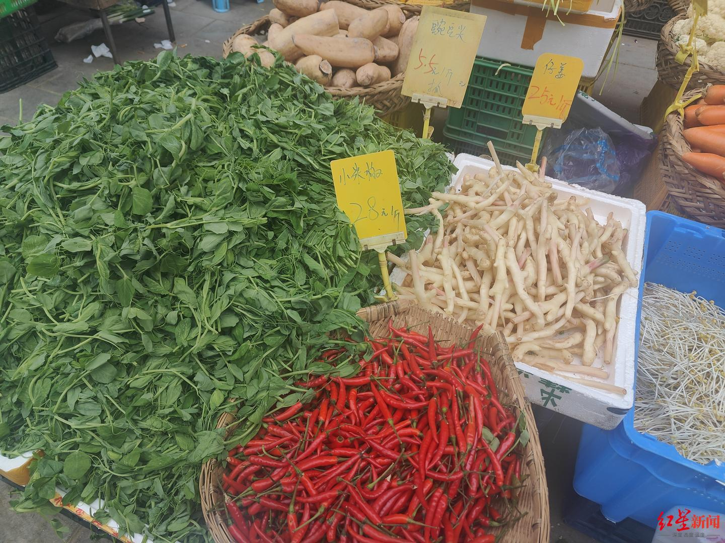 【#小米辣涨至28元1斤#  业内人士：系产地辣椒推迟上市且产量下降】#业内人士