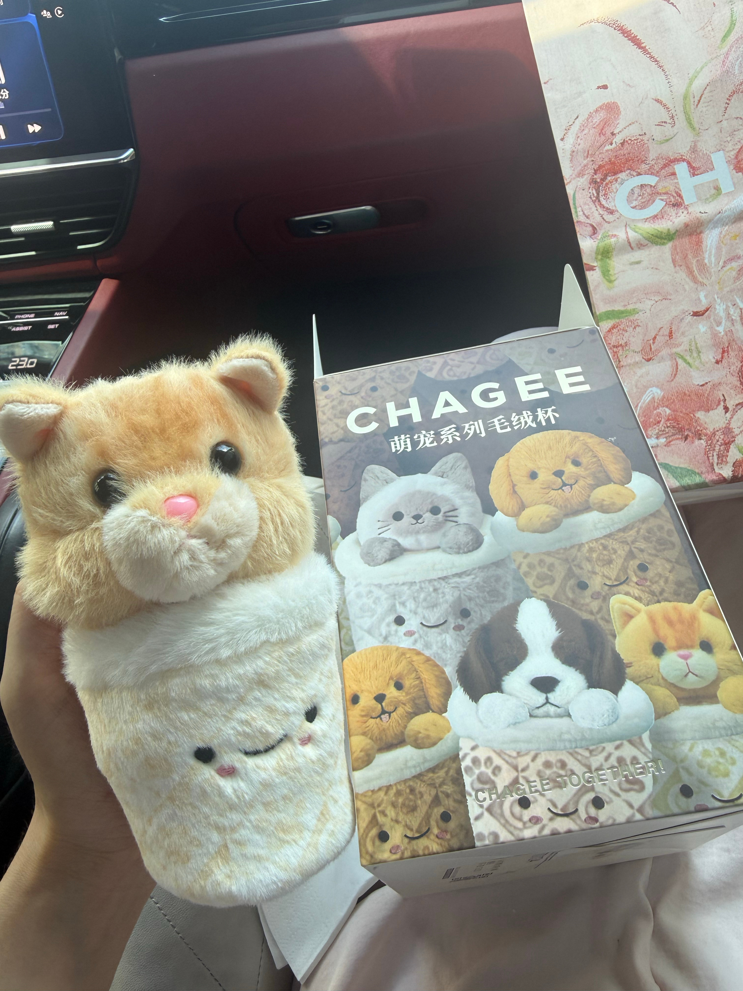 去取奶茶给我带了只🐱回来 