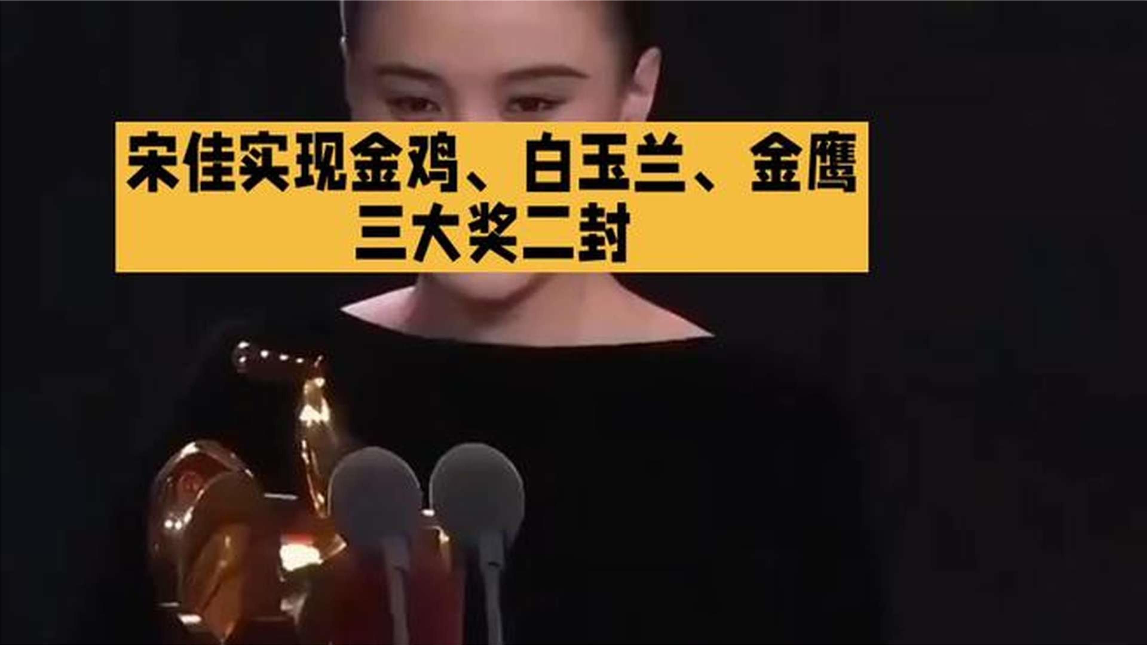 宋佳实现金鸡、白玉兰、金鹰三大奖二封