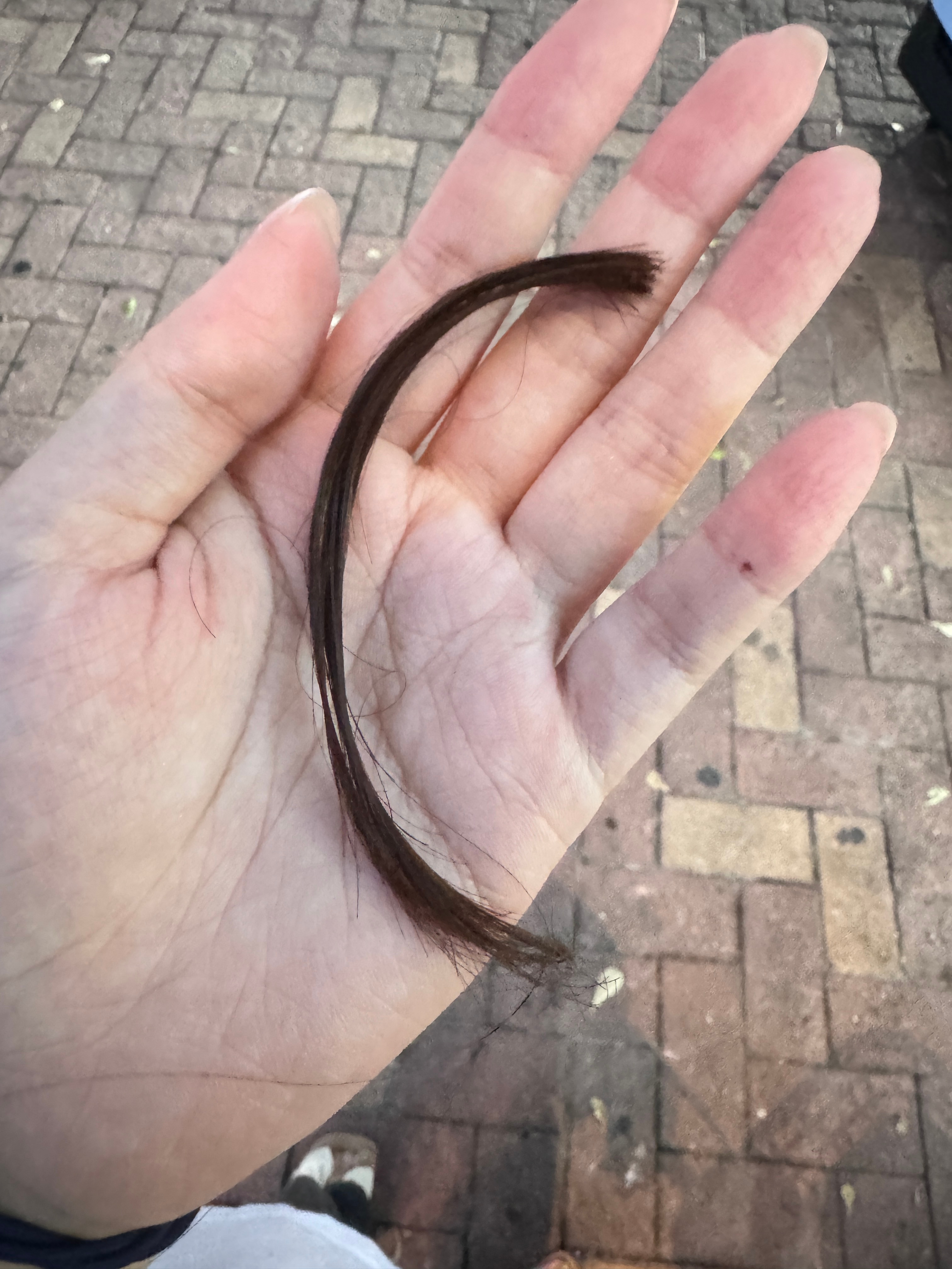 Tony老师他们好像永远都有属于他们的长度单位，我说我只要修一下发尾，甚至已经把
