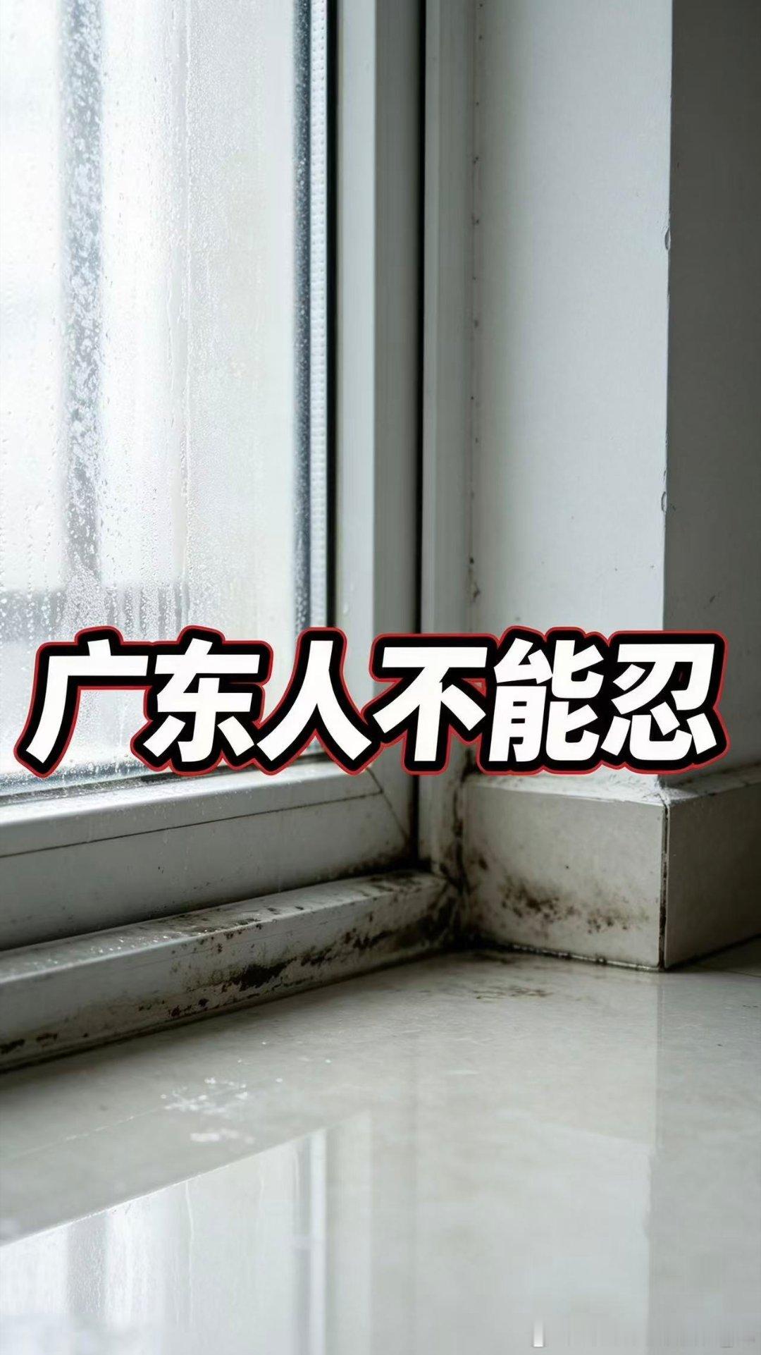 广东人装修，择日看方位，瓷砖上墙，浴室干爽，每一条都是生活科学。防水方面，广东人