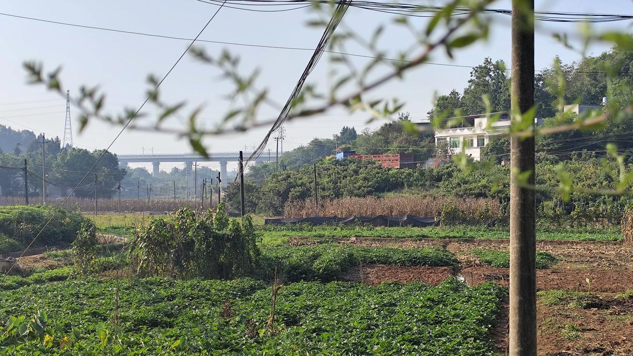 秋日生活打卡季乡村风景欣赏分享你随手拍得风景