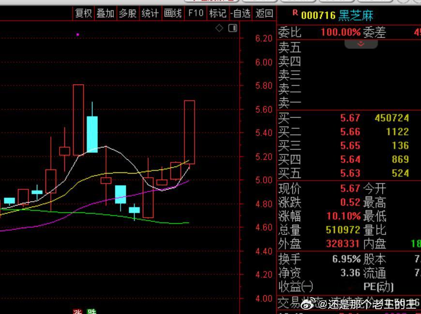 黑芝麻今天盯好久了 一把拉升涨停~成交了一点点~ ​​​