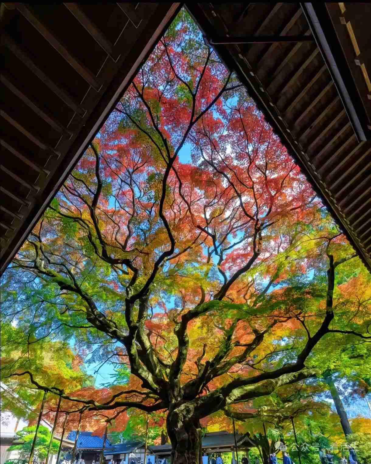 我的今日状态：💪🏻充满干劲
我这里的天气：🌤️多云