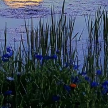 每日一善   每日一善   阳光信用 当你坚信自己的目标能够成功并付出行动，整个