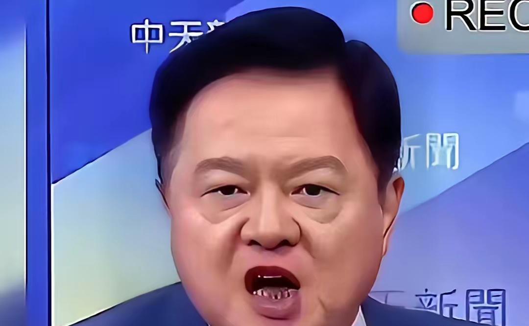 周锡伟说透话了，台湾统一不能靠台湾任何一个政党，不光是民进党台独，就连国民党也是