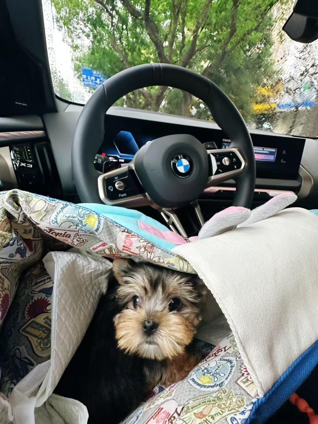 孩子第一次坐汽🚗。。。吓完了 ​​​