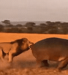 这个价格能不能把三大运行干倒闭？

假设你可以用卫星上网
带宽流量100 Mbp