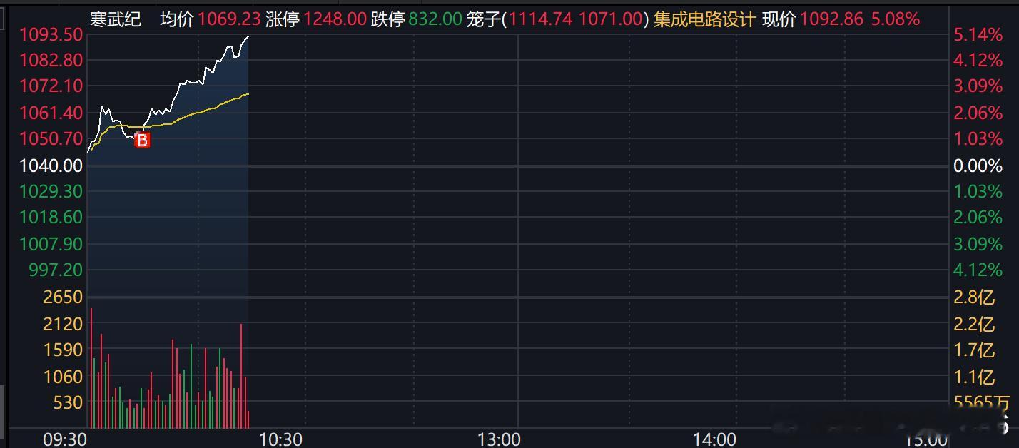 今天除了继续开盘加科创半导体ETF，就只买了两个票，寒武纪、江丰 ​​​