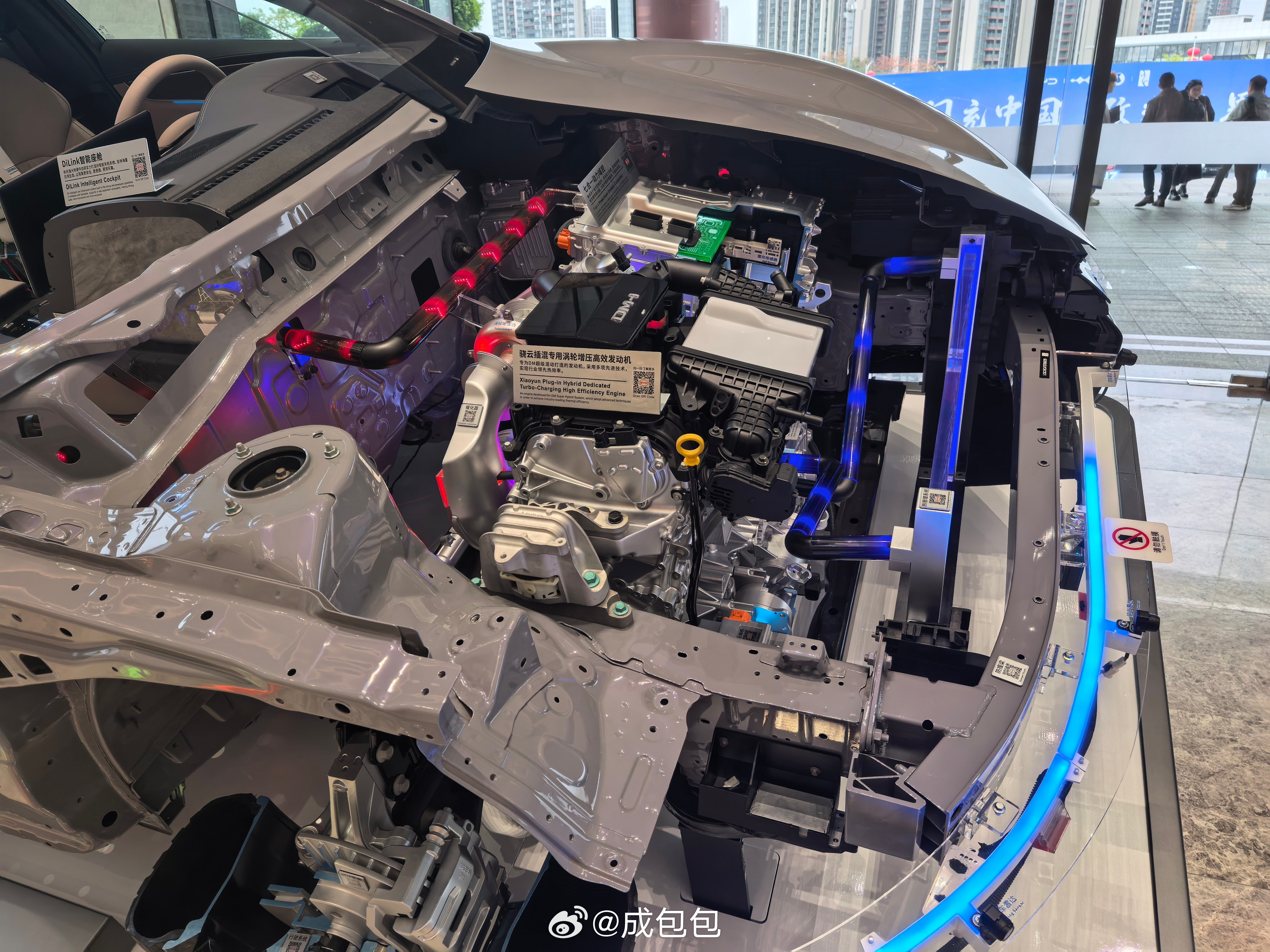 新能源汽车﻿ 顶礼膜拜下翘楚 