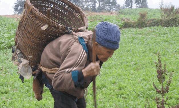 俗话说家有一老，如有一宝。可是高寿对于农村老人来说并不是一件幸事。
首先，高寿便