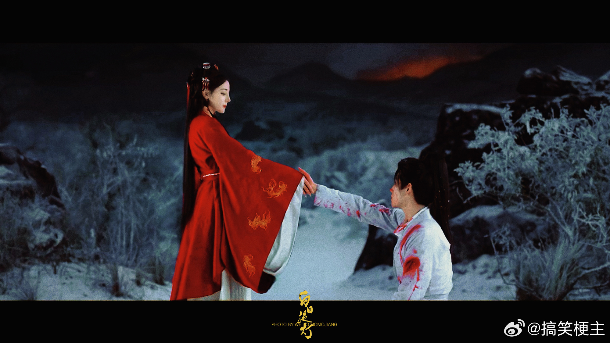 白日提灯线下够我脑补一集了 这次线下活动真的让我的脑洞打开！高鹤元和杨肸子的互动