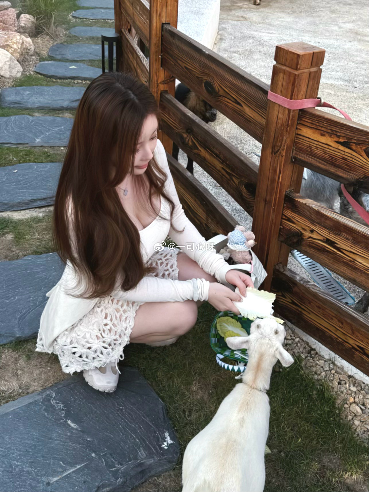 可可爱爱的小动物🐇我的日常plog动物[超话]美女穿搭  ​​​