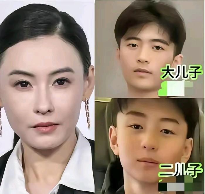谢贤的遗产90％留给了两个孙子，也就是张柏芝的两个儿子。包括房产，股票和版权等大